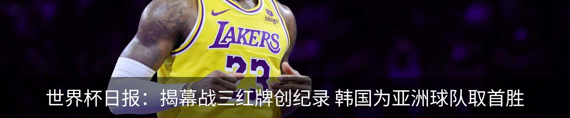 新闻动态