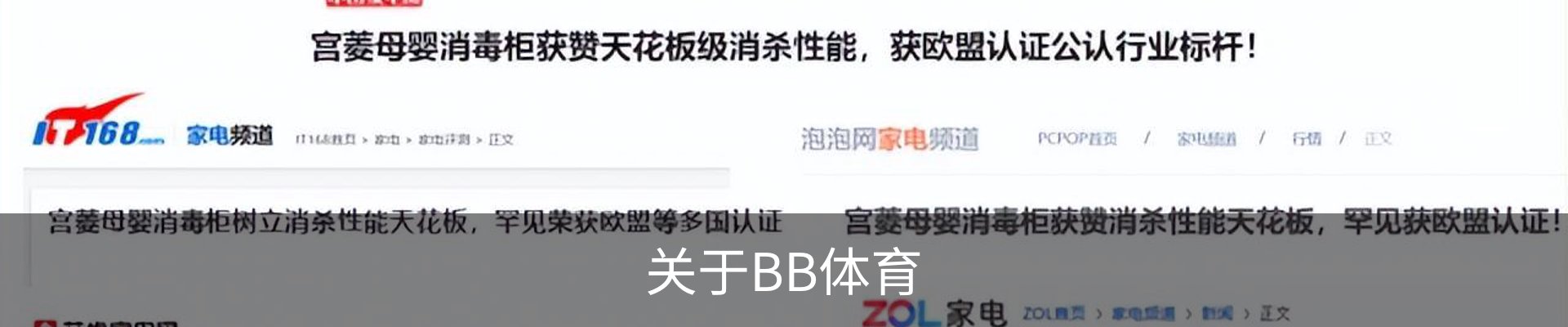 关于BB体育